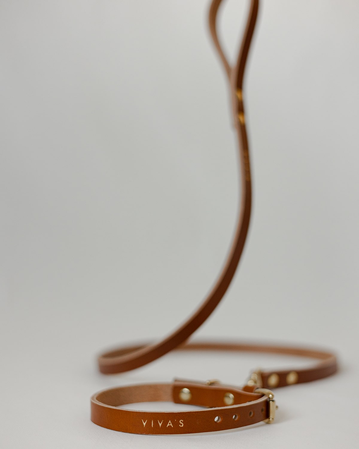 OVRATNICA ZA PSA + POVODEC