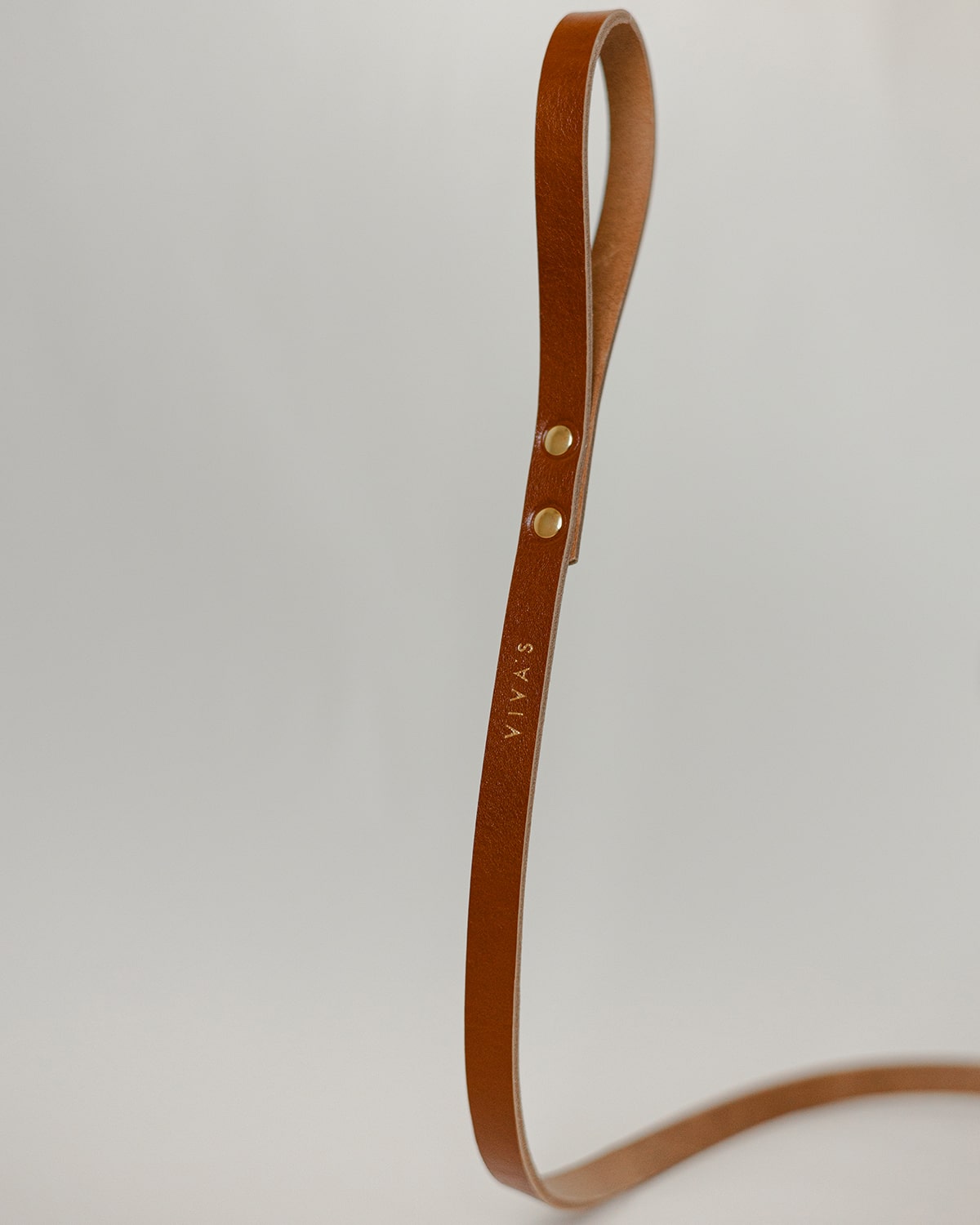 OVRATNICA ZA PSA + POVODEC