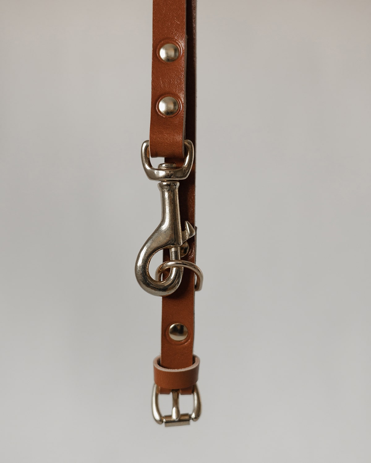 OVRATNICA ZA PSA + POVODEC