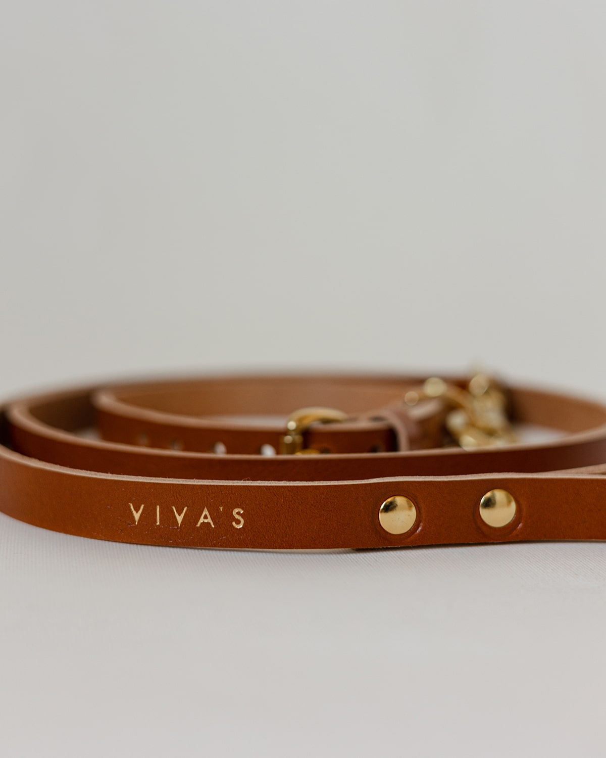 OVRATNICA ZA PSA + POVODEC