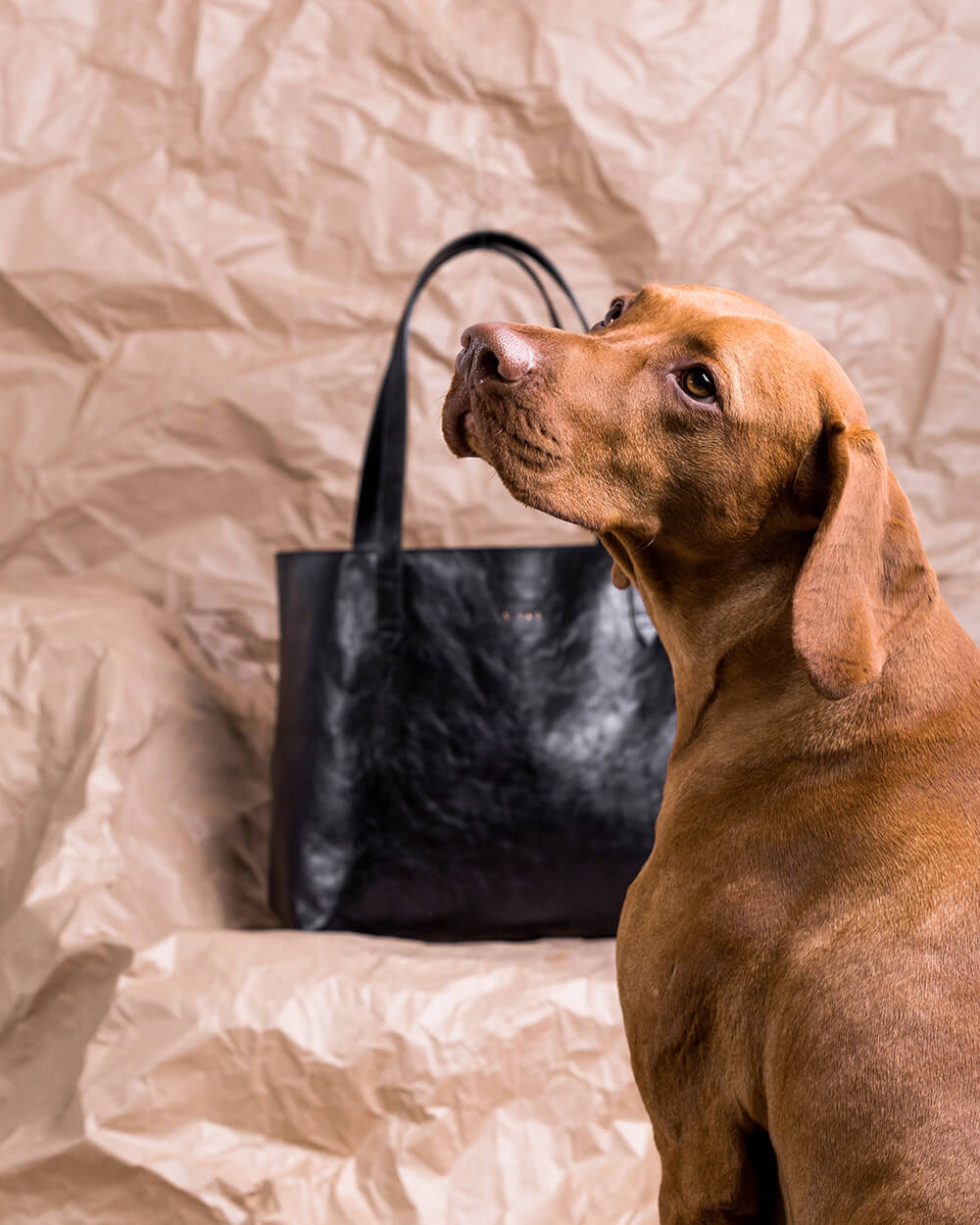 ADA Work Bag Rich Black