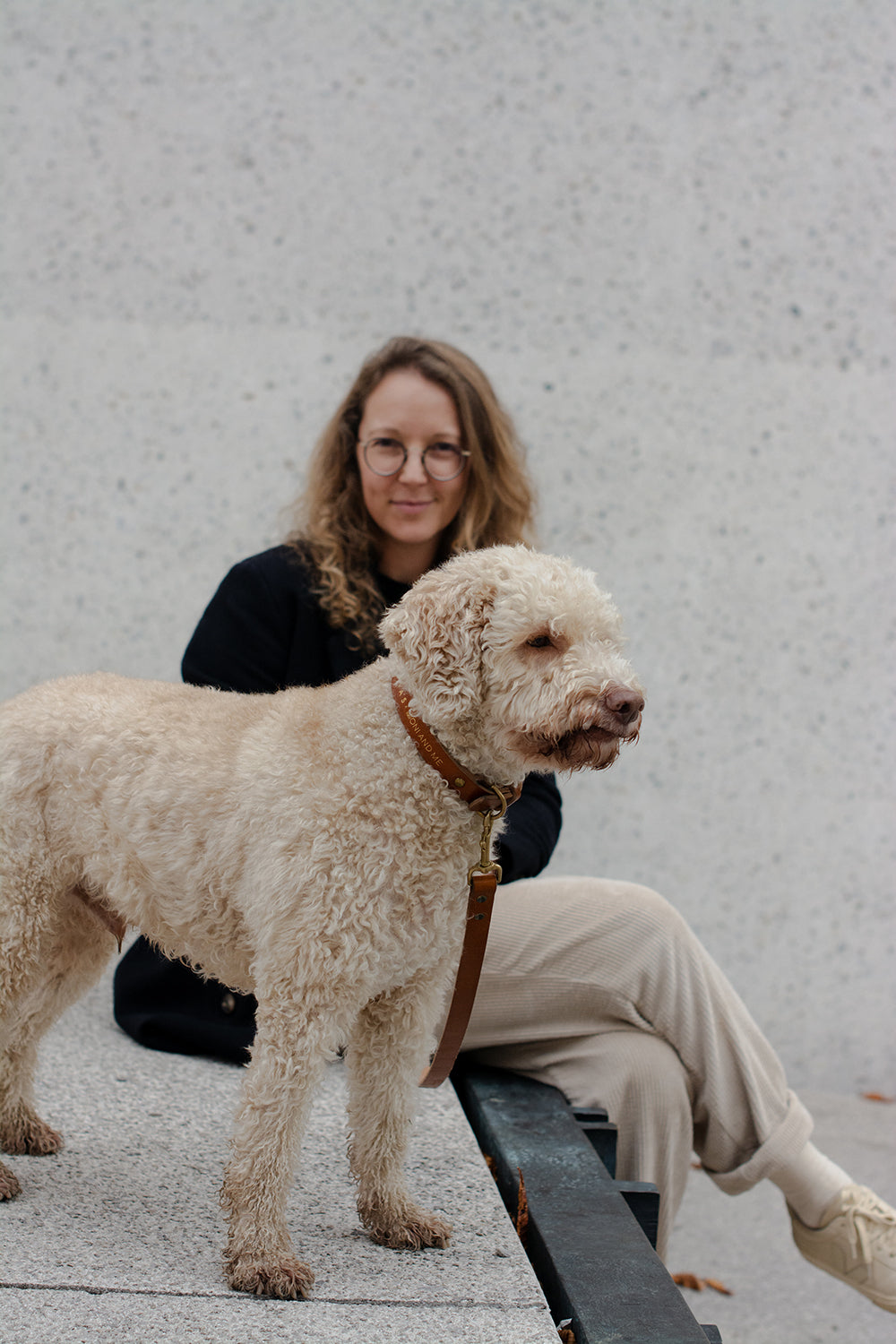 OVRATNICA ZA PSA + POVODEC