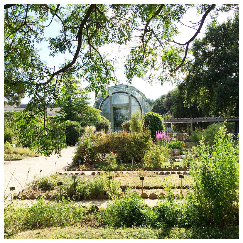 Jardin des Plantes, Paris