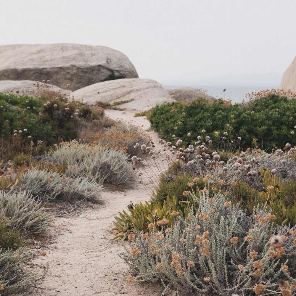 Island Guide: Sardinia