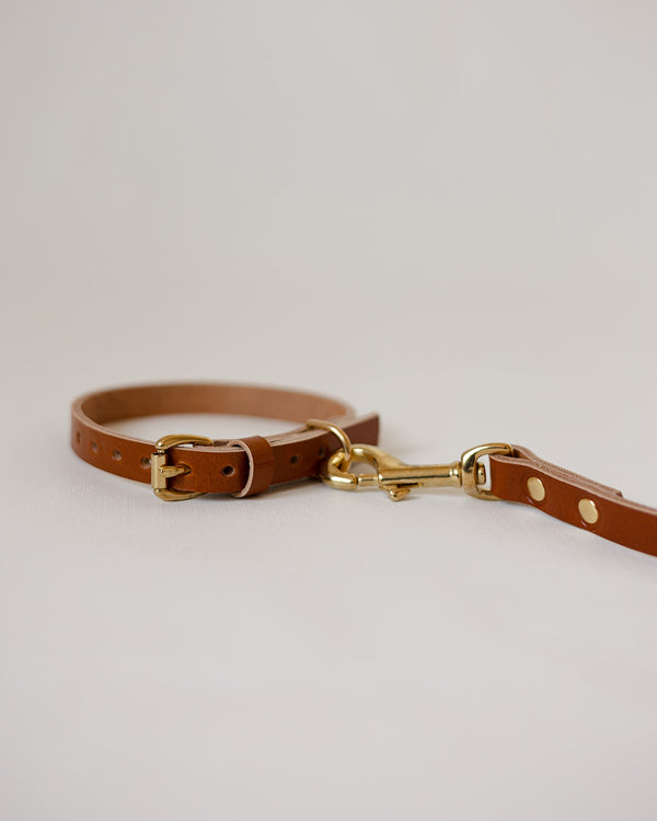 DOG COLLAR + LEASH