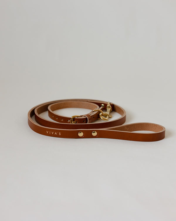 DOG COLLAR + LEASH