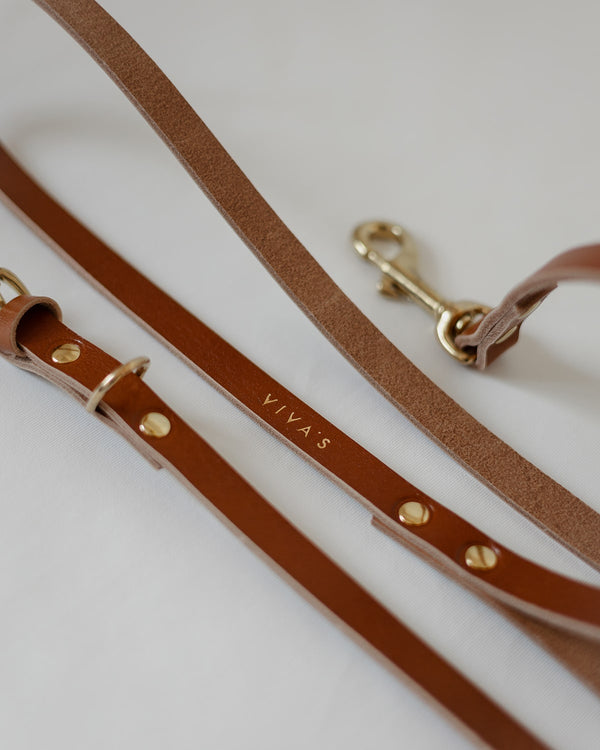 DOG COLLAR + LEASH