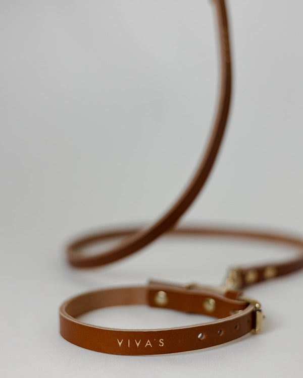 DOG COLLAR + LEASH