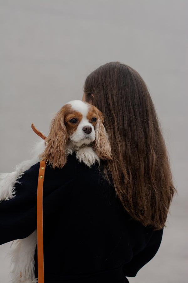 DOG COLLAR + LEASH